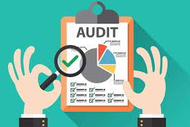 Internal Audit of The Campus