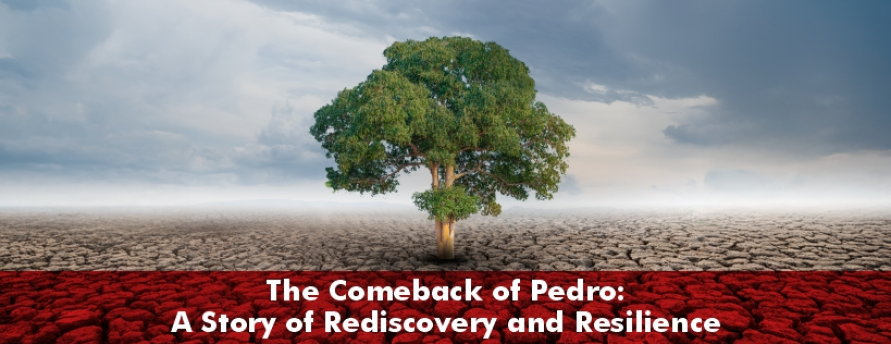 the-comeback-of-pedro-a-story-of-rediscovery-and-resilience