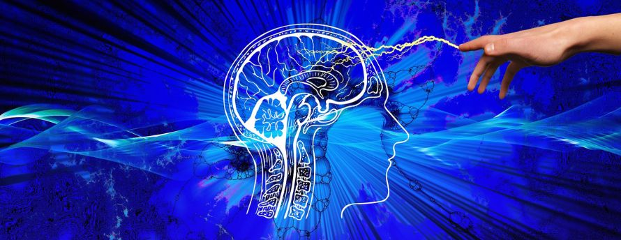 train-your-brain-02